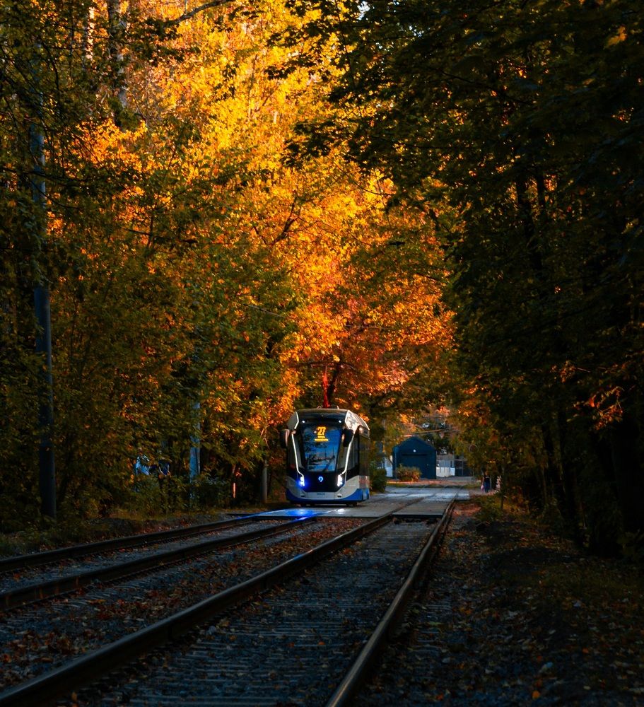 Photograph by Даниил Ларионов