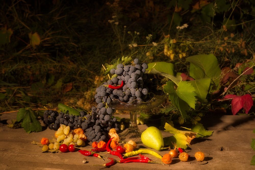 Фотография автора Медведев Сергей