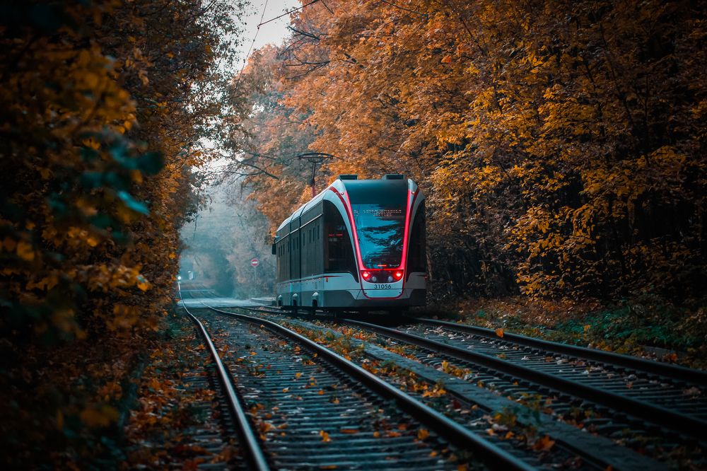 Photograph by Александр Ермаченко