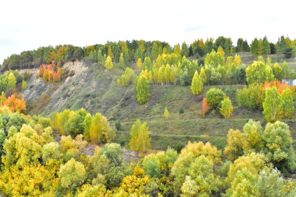 Photograph by Андрей Сухинин