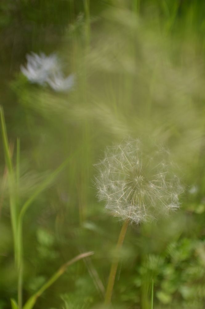 Photograph by Надежда Чаплынская