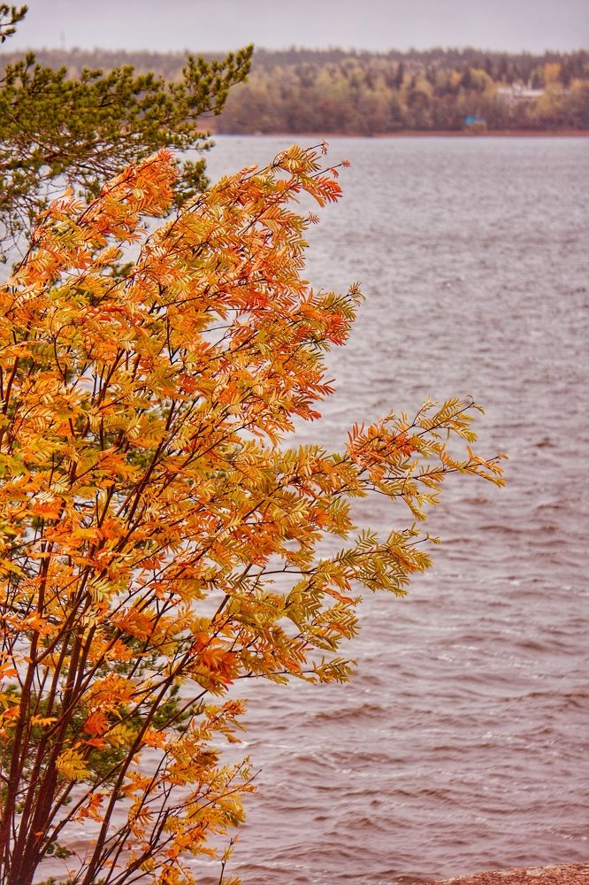 Photograph by Oksana Smorodina