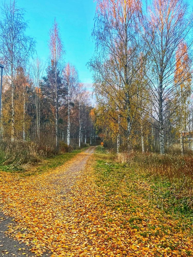 Photograph by Oksana Smorodina