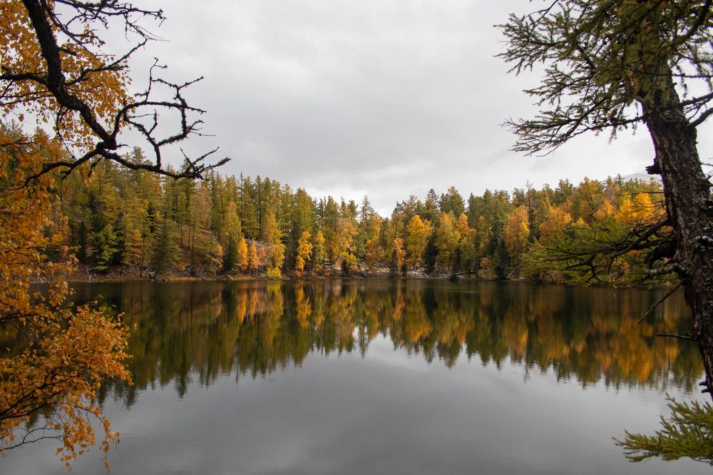 Photograph by Полина Голованова