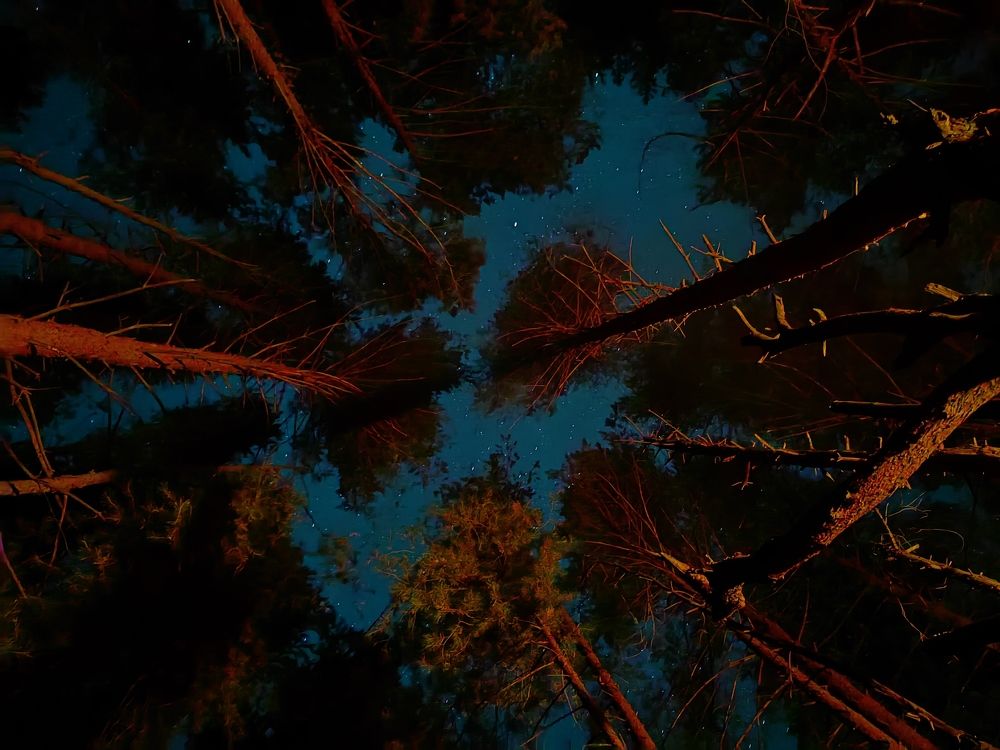 Photograph by Елена Касьянова