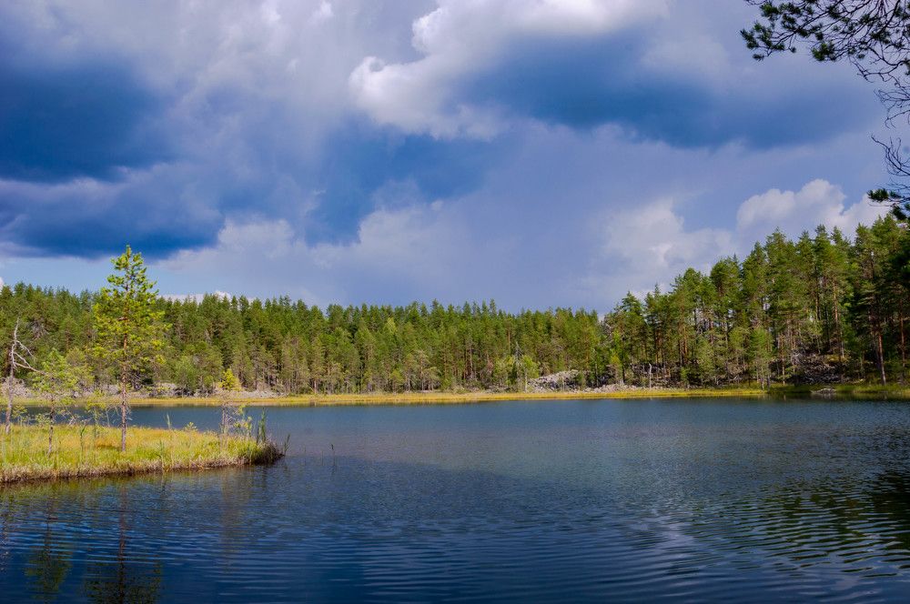 Photograph by Олег Менакер