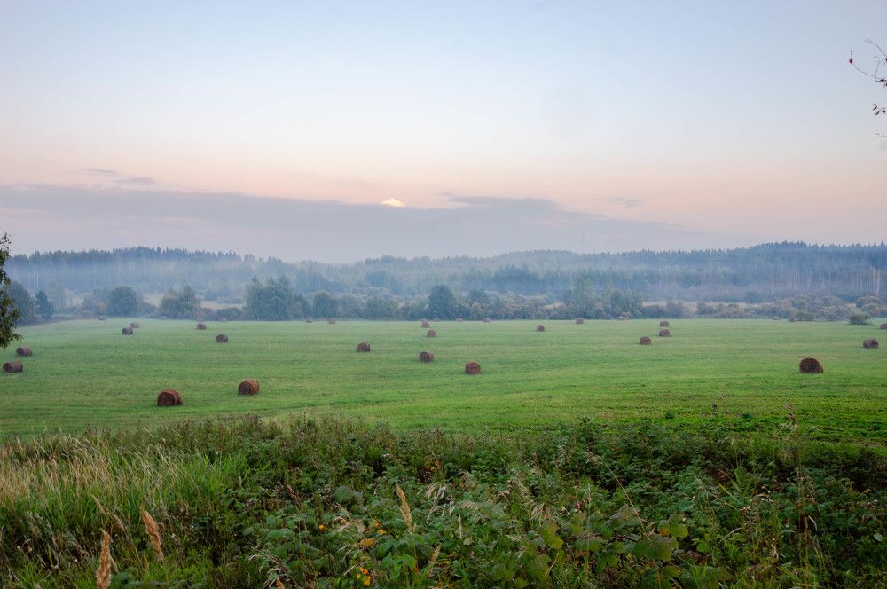 Photograph by Олег Менакер