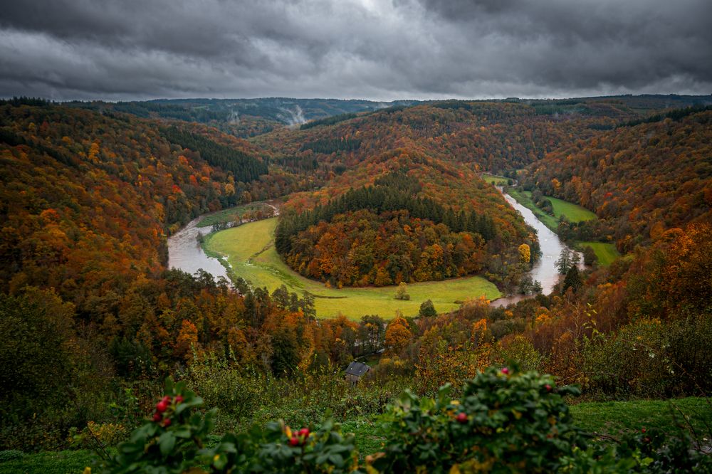 Photograph by Oksana Yermoshenko