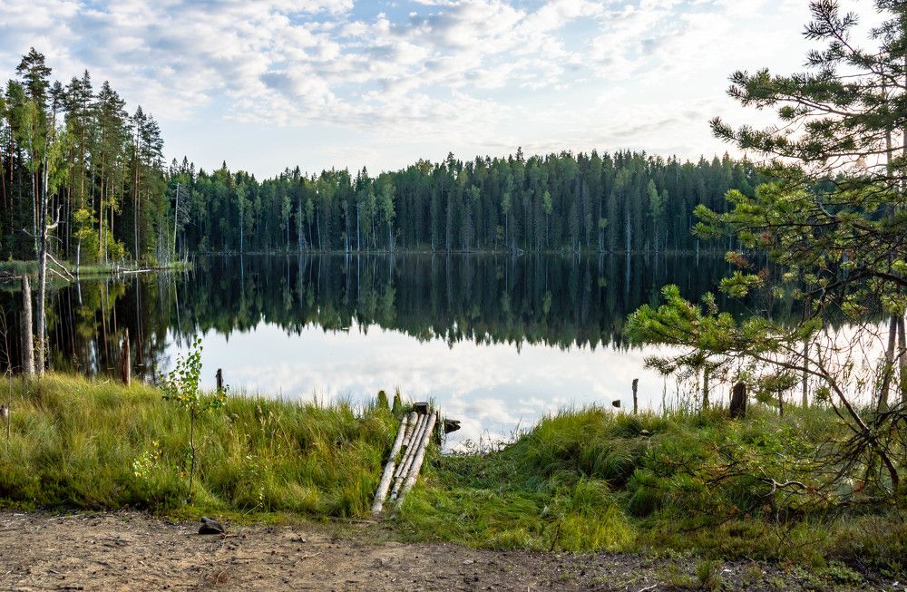 Photograph by Олег Менакер