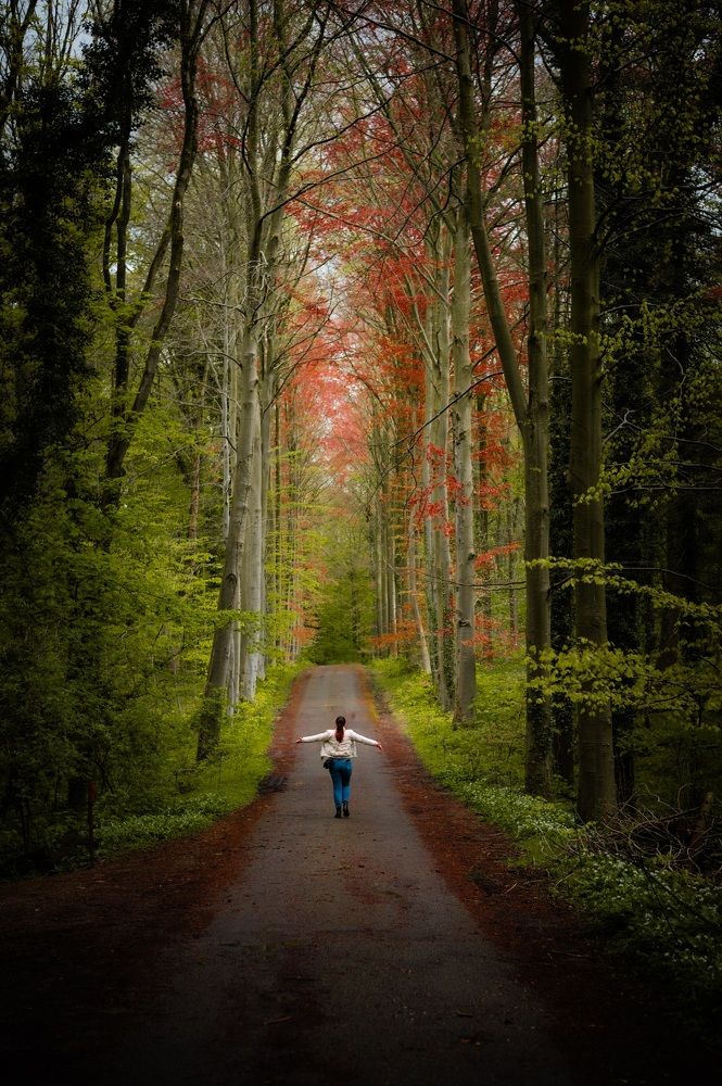 Photograph by Oksana Yermoshenko