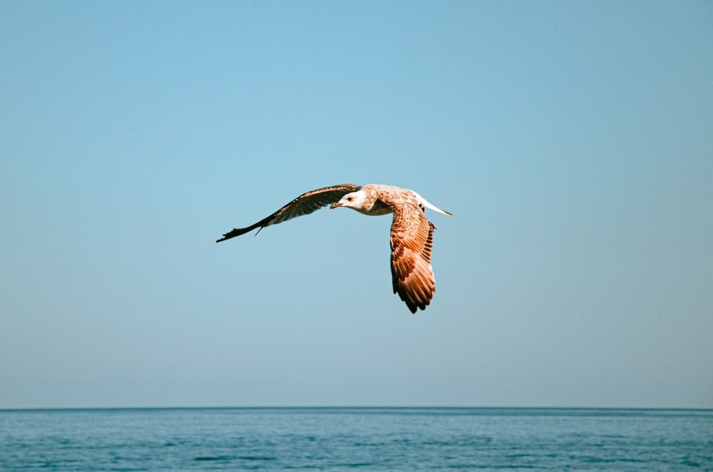 Photograph by Влад Василенко