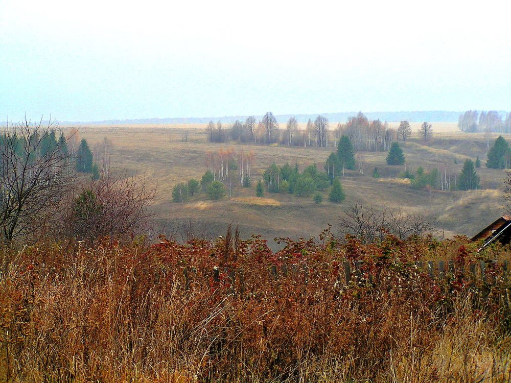 Фотография автора Клавдия Васильева