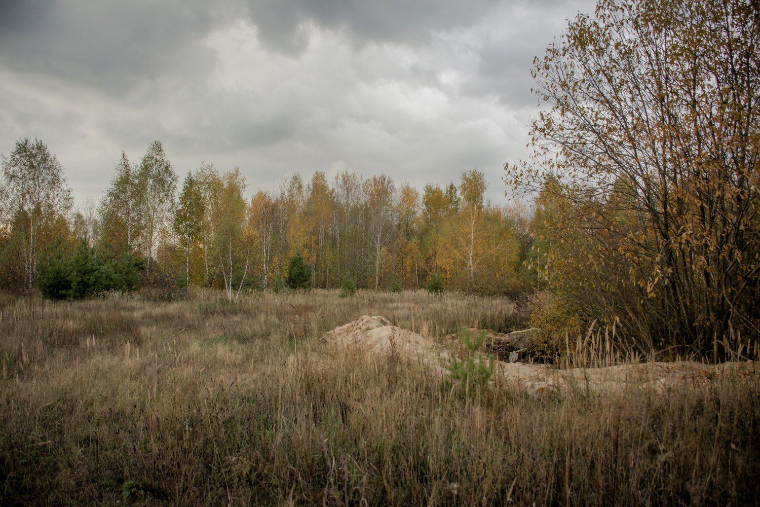 Photo #11072248
