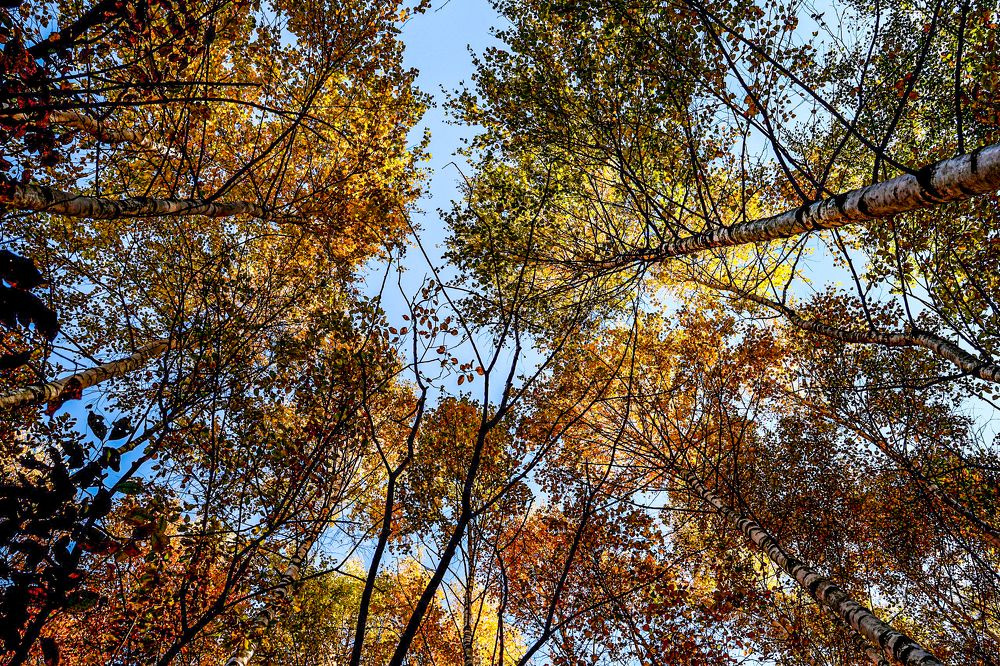 Photograph by Хельга Кольцова