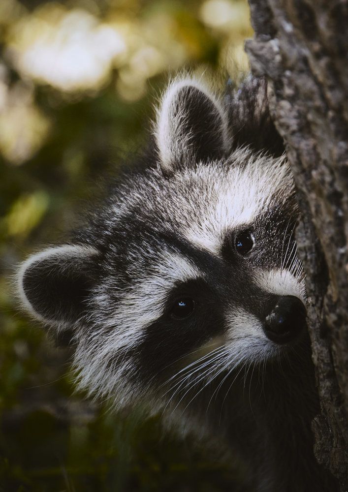 Photograph by Madalin Vlad