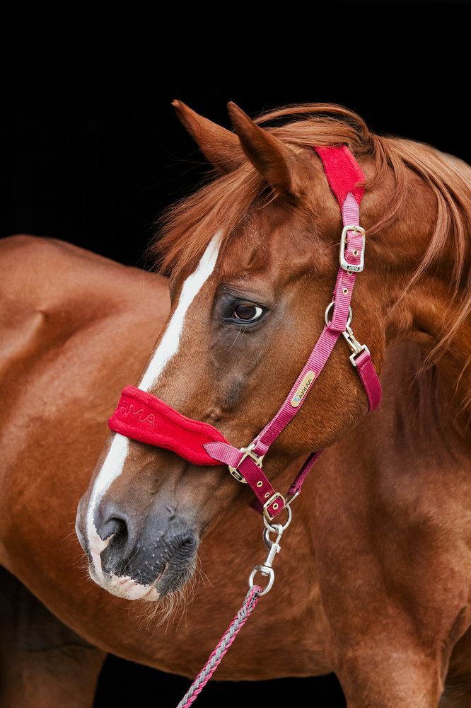 Photograph by Полина Фрольцова