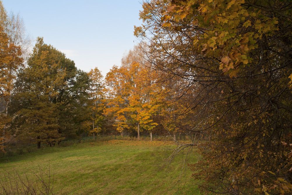 Photograph by Лилия Кондратьева