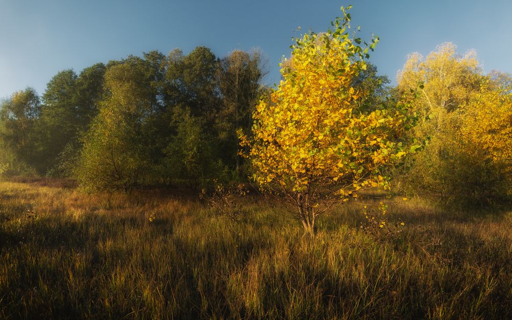 Photograph by Сергей Дишук