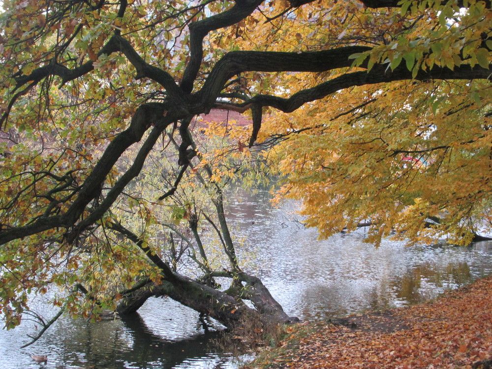 Photograph by Ирина Шведчикова