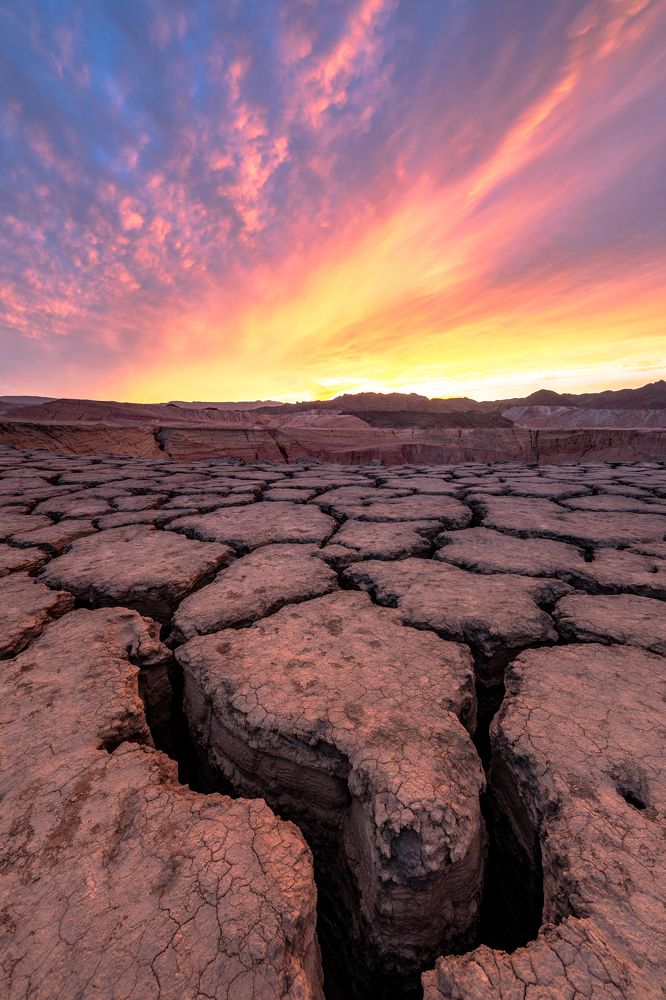 Photograph by Alex Taubin