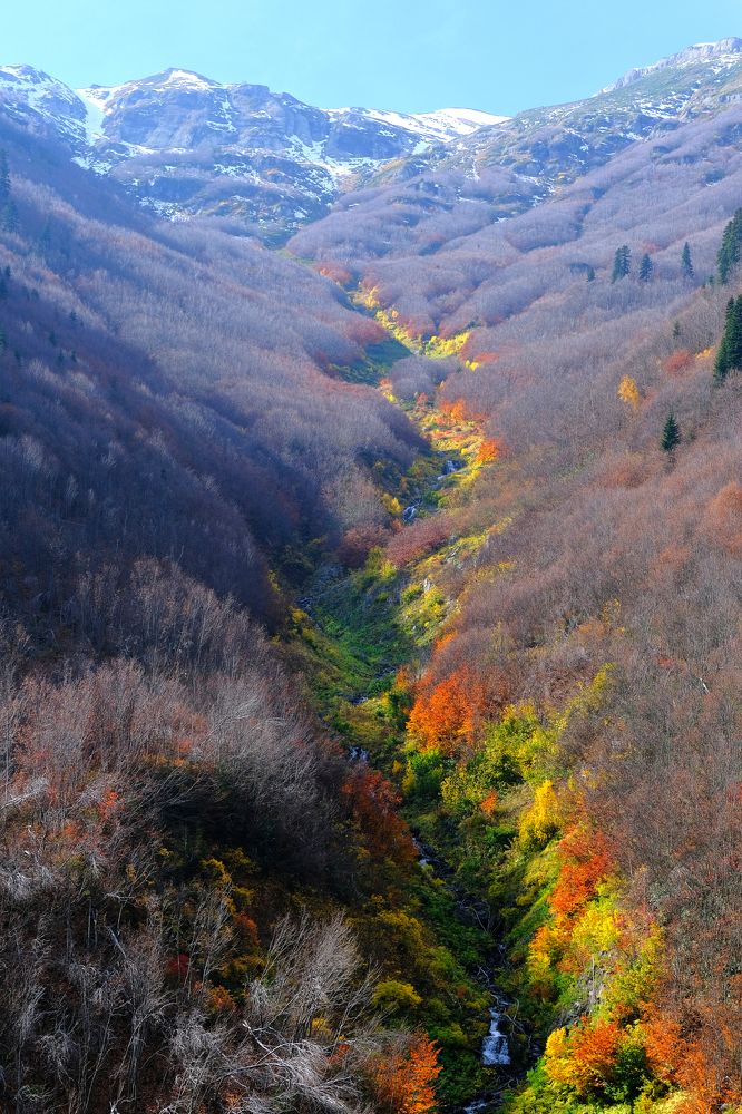 Photograph by Feyza Umaysiz