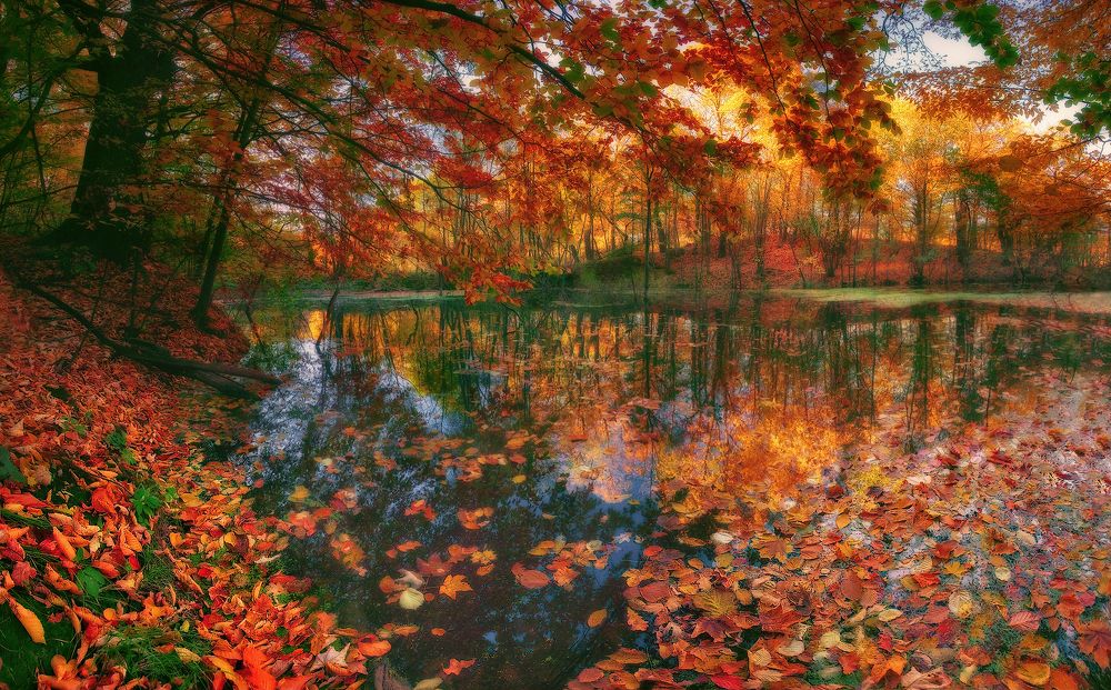 Photograph by Владимир