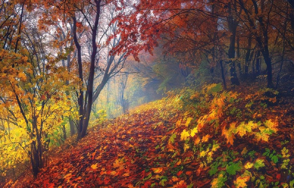 Photograph by Владимир