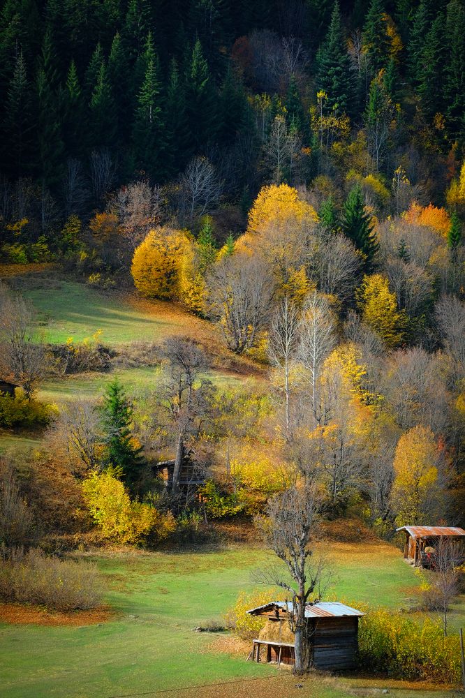 Photograph by Feyza Umaysiz