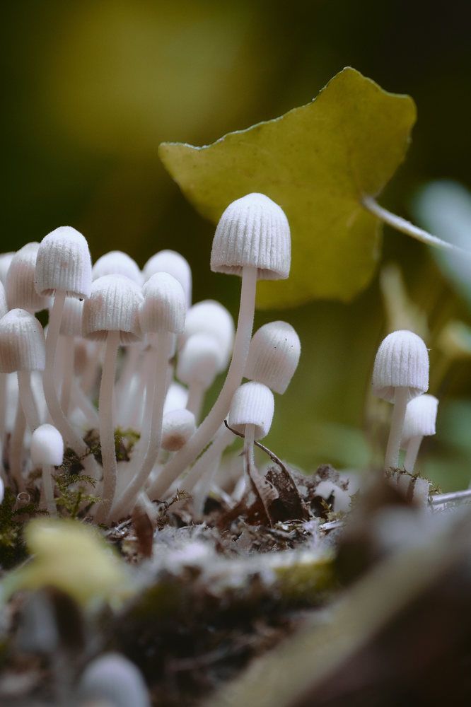 Photograph by Madalin Vlad