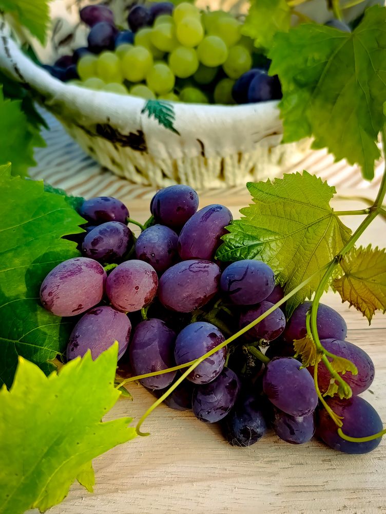 Photograph by Светлана Таркан