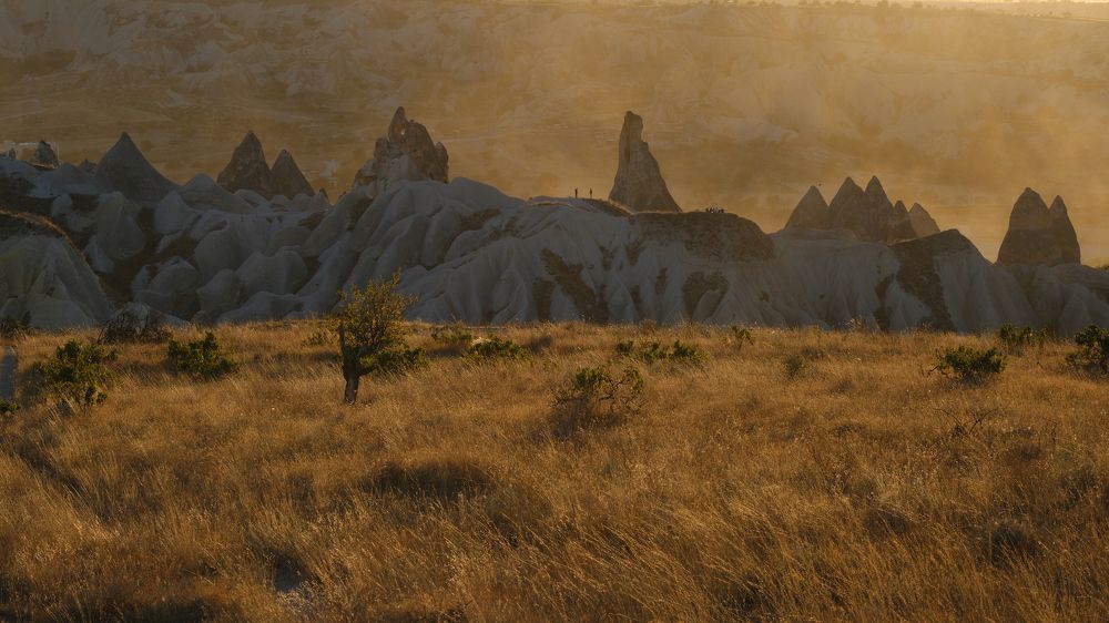 Photograph by Альбина Михайлова
