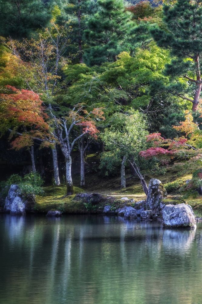 Photograph by Елена Хорошильцева