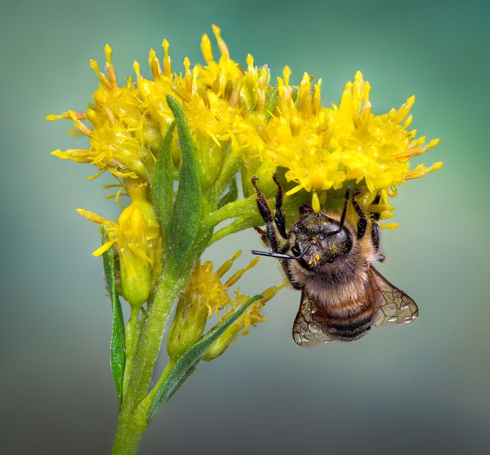 Photograph by Atul Saluja