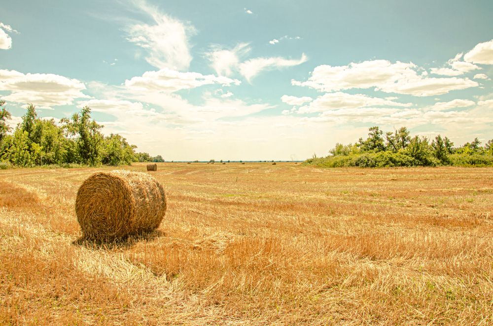 Photograph by Влад Василенко