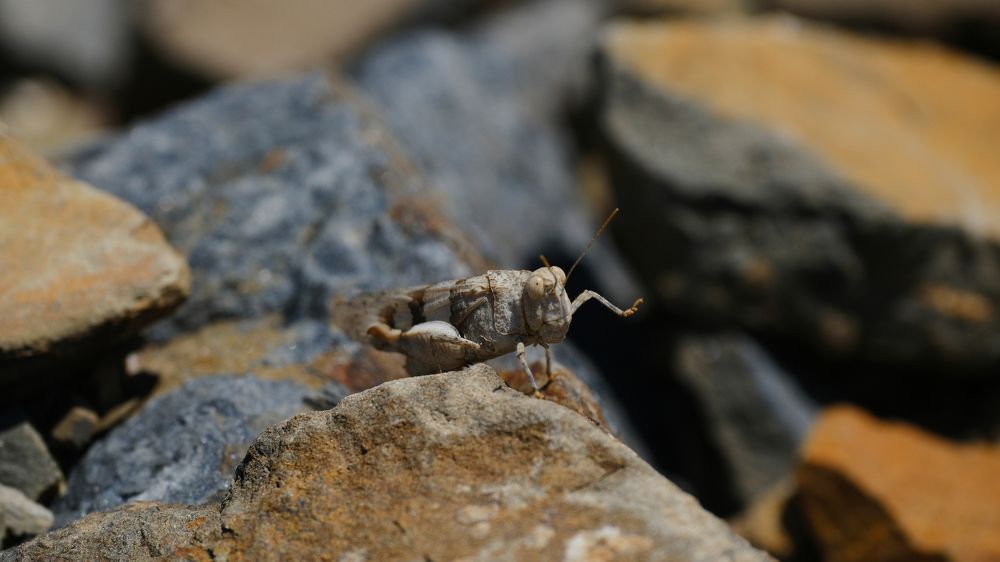 Photograph by Альбина Михайлова