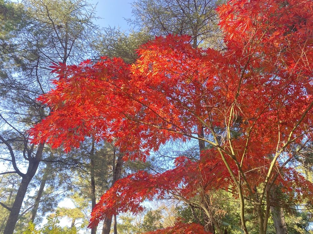 Photograph by Ольга Шабалина