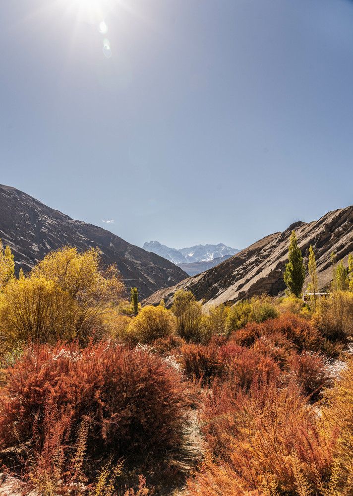 Фотография автора Afzal Khan