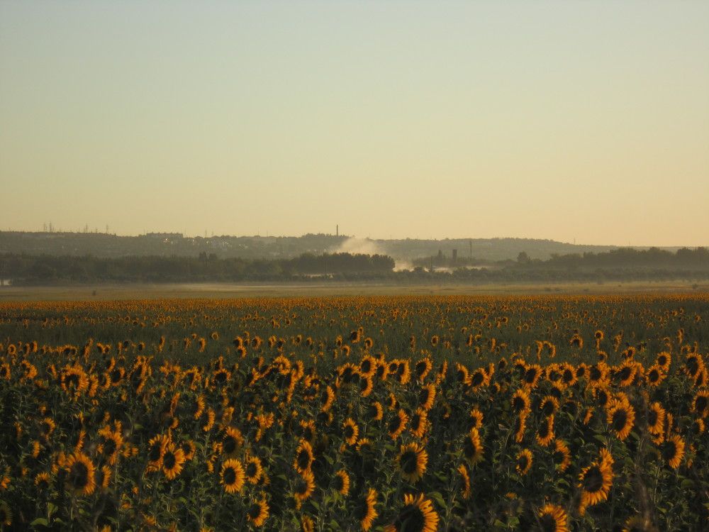 Photograph by Елизавета Зыкова