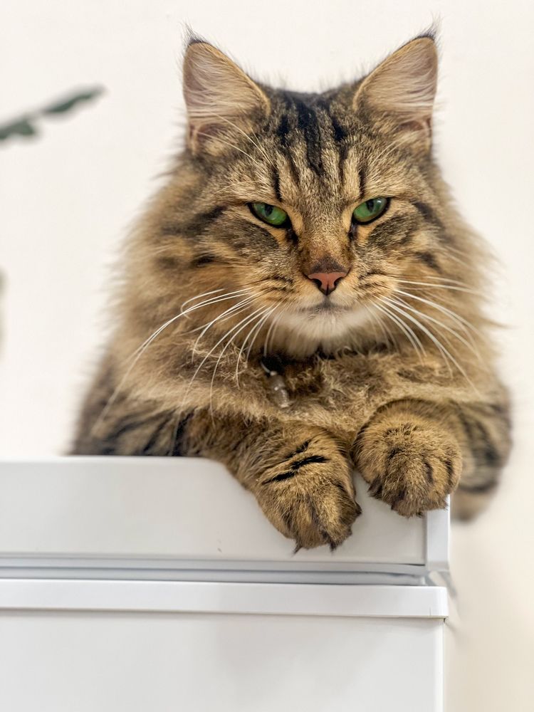 Photograph by Наталья Мэмэлигэ