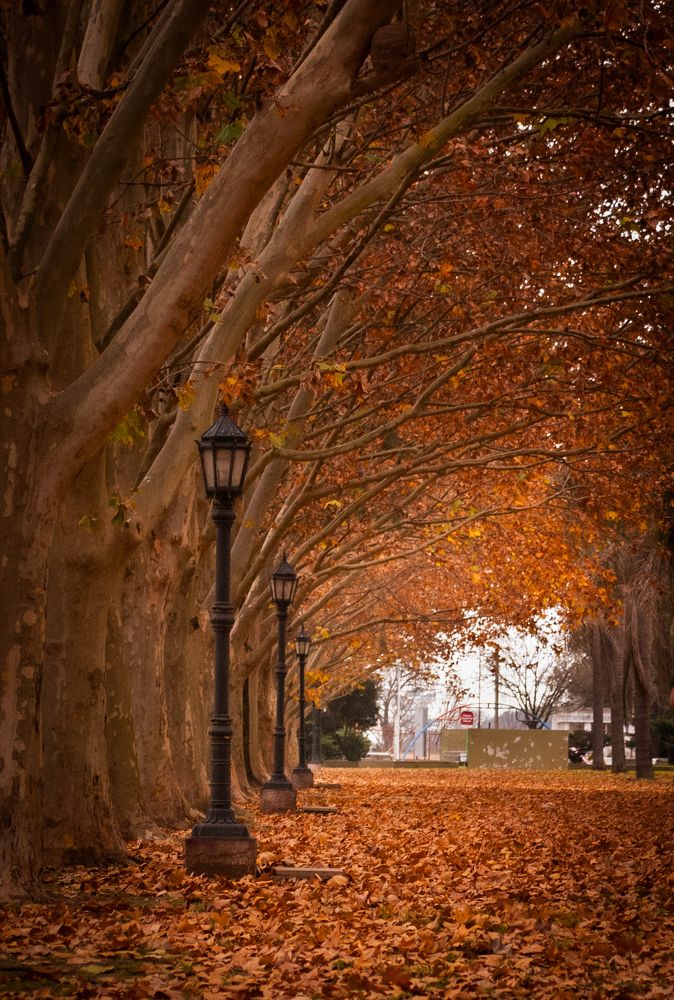 Photograph by Silvina Sánchez