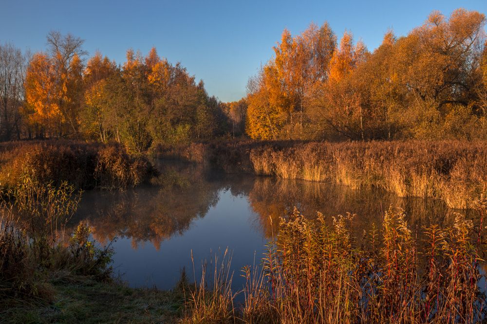 Photograph by Сергей Алексеев
