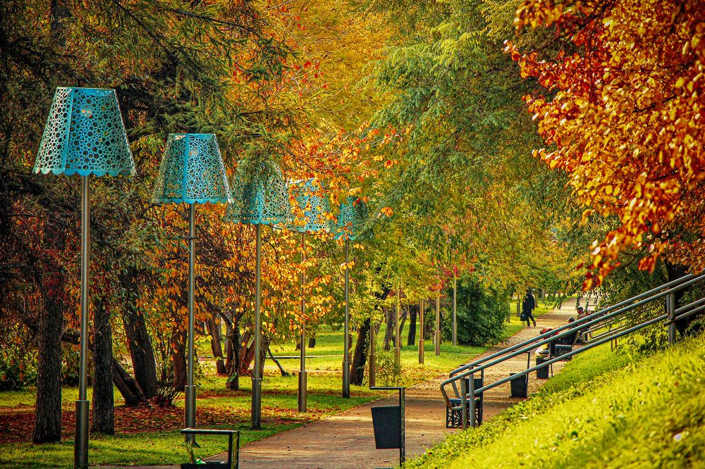 Photograph by Владимир Сушкин