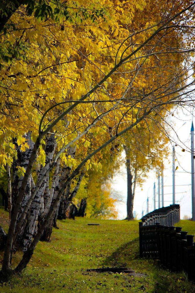 Photograph by Владимир Сушкин