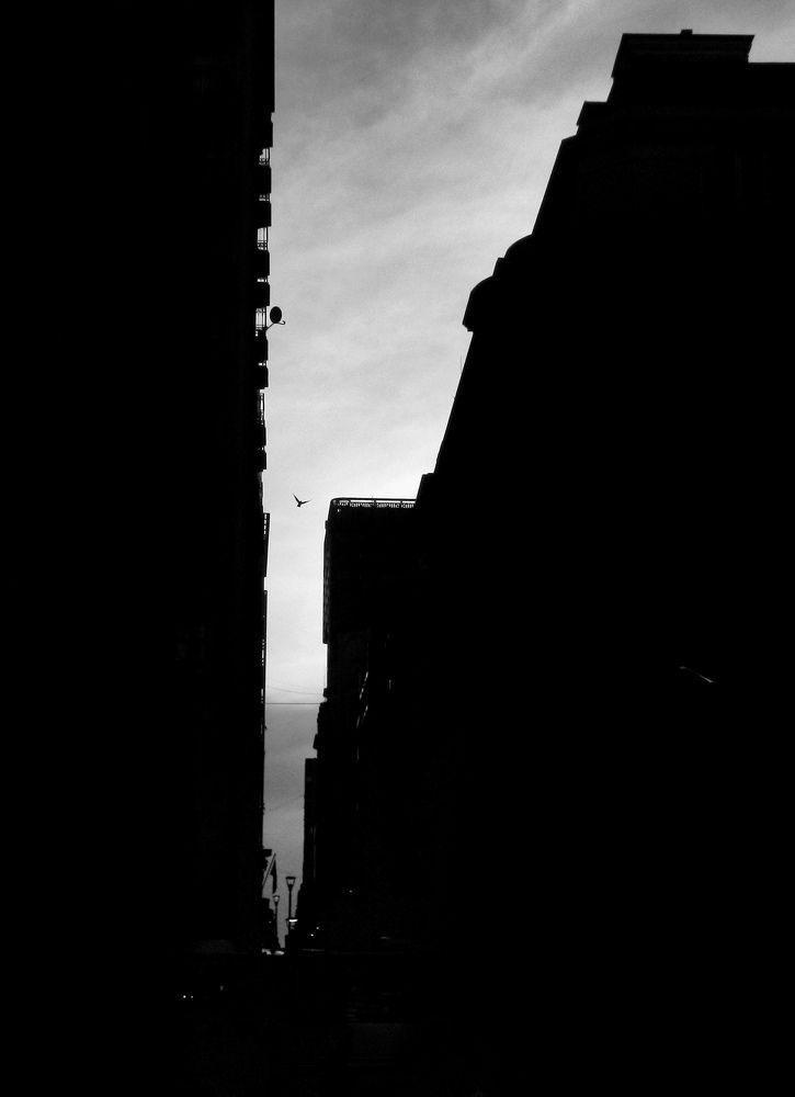 Фотография автора Alexis Maldonado