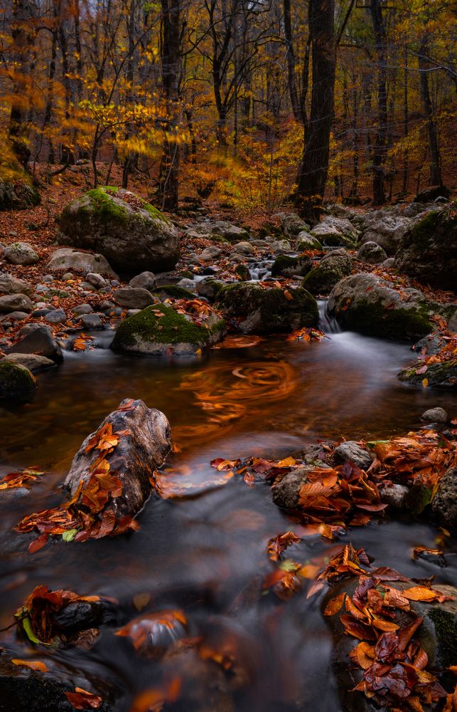 Photograph by Farshad Yazdankhah