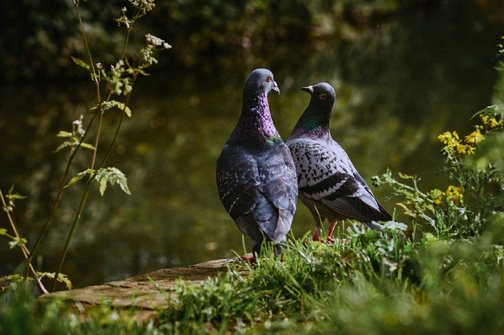 Photograph by Madalin Vlad