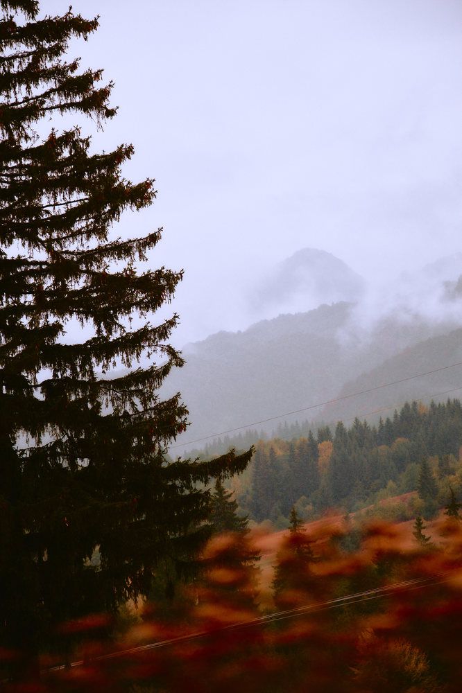 Photograph by Madalin Vlad