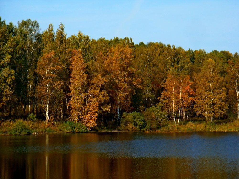 Фотография автора фотокружок "Мир в объективе" ГПОУ "ПСТ"