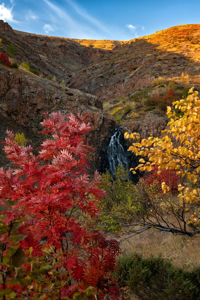 Photograph by Ирина Ульянова