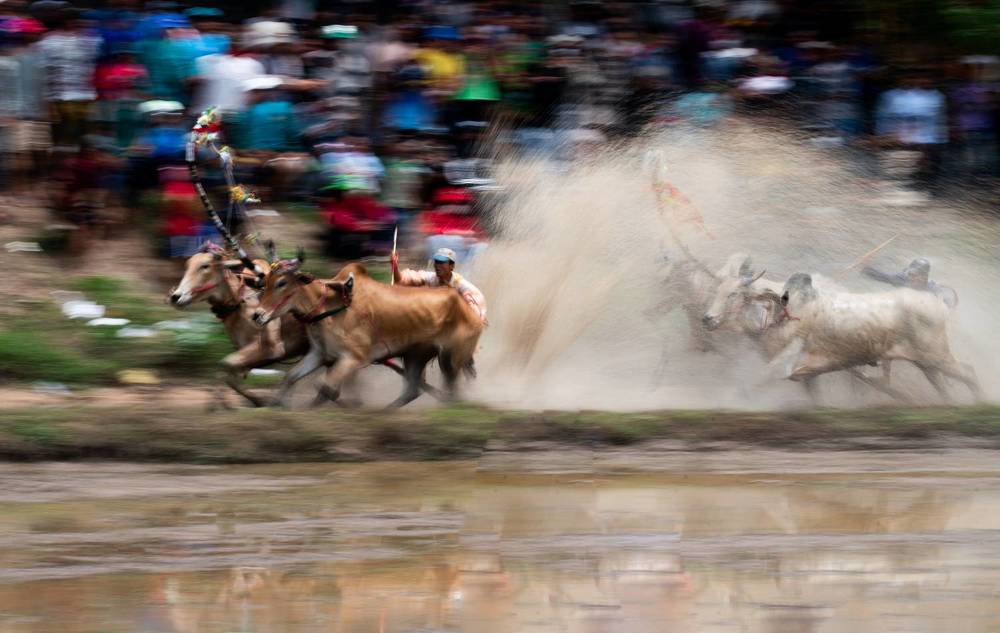 Photograph by Tran Van Truong